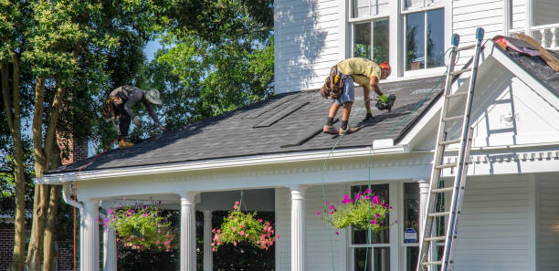 Roof Gutter Cleaning in Hillsboro Beach, FL